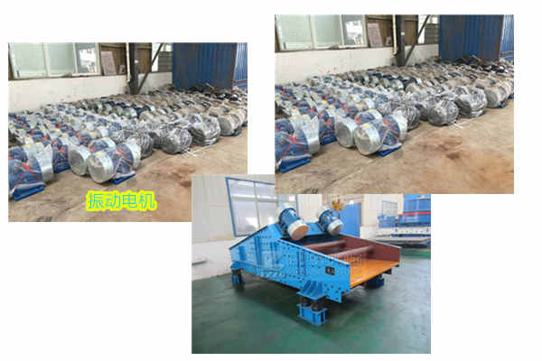 脫水篩振動電機(jī)